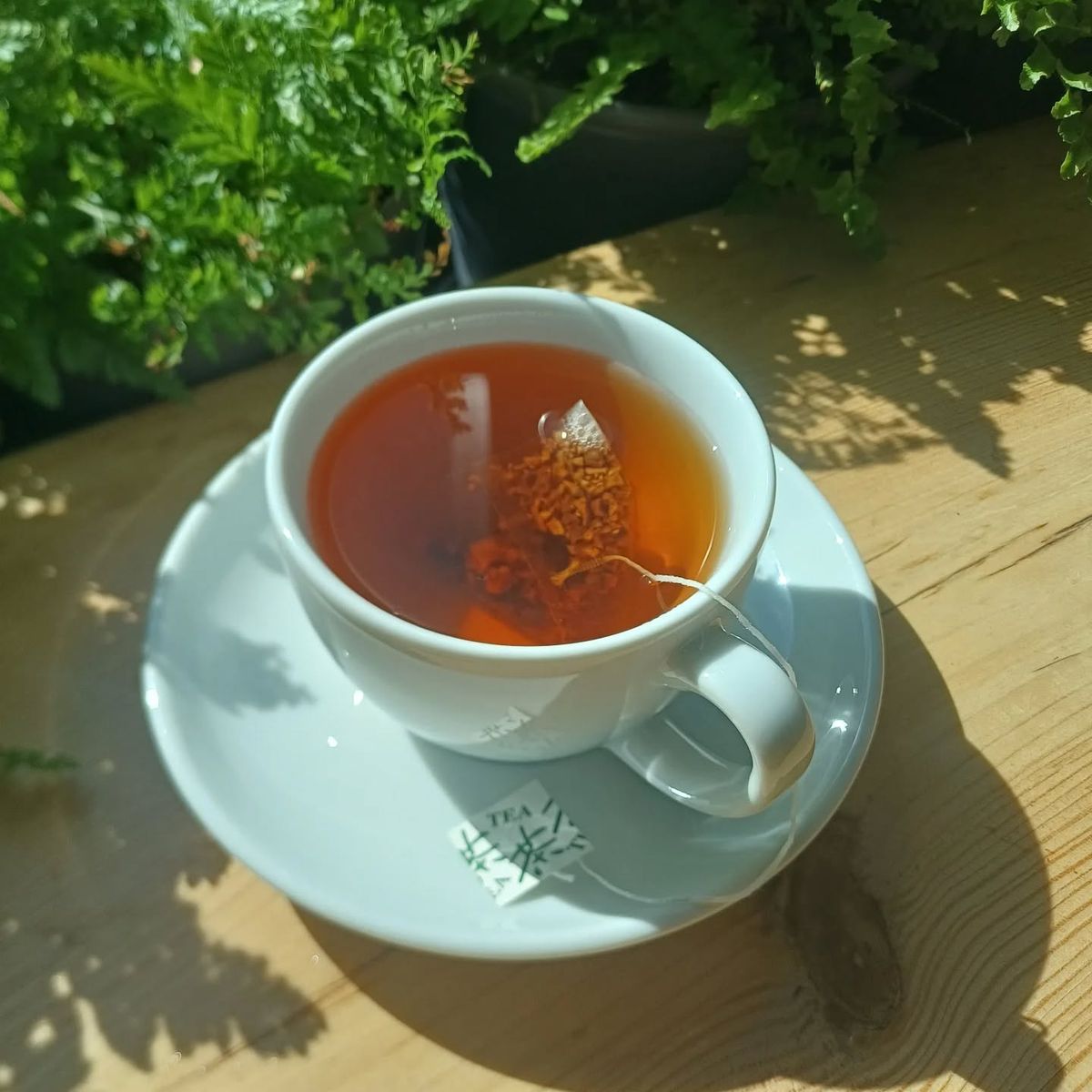 전통 발효차 패키지 무드 컷